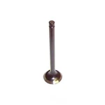 Engine Exhaust Valve-dohc, 16 Valves Dnj EV311 New. Price: $9.99.