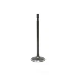 Engine Intake Valve-vin: G, Dohc, Code: Erb, Pentastar, 24 Valves Dnj IV1169 New. Price: $15.14.
