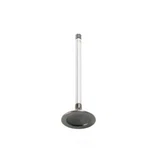 Engine Exhaust Valve-vin: 6, Sohc, 16 Valves Dnj EV4224 New. Price: $23.57.