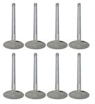 Manley Extreme Duty Series Stainless Steel Valves 11587-8 New. Price: $514.08.
