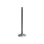 Dnj IV4305 Intake Valve Fits 2013-2017 Honda Accord 15-19 Cr-v New. Price: $33.99.