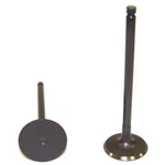 IV528 Dnj Intake Valve For Suzuki Verona 2004-2006 New. Price: $24.17.