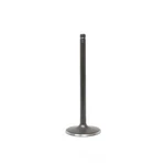 Engine Intake Valve-vin: C, Ohv, Code: L83, ECOTEC3, 16 Valves Dnj IV4243 New. Price: $18.97.