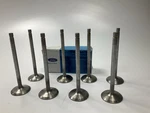 (8) New Oem Ford F5RZ-6507-A Engine Intake Valve 1995-1998 2.0L Dohc L4. Price: $53.99.