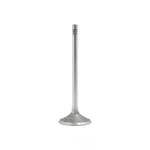 Engine Intake Valve-dohc, Ecotec, 16 Valves Dnj IV314 New. Price: $9.99.