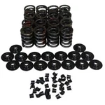 Howards 98412-K11 Stock Dia Performance Single W/damper Valve Spring Kit New. Price: $205.32.