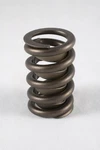 Racing 1200 Series Valve Spring PAC-1201-16 New. Price: $249.10.