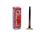 Dnj EV625 Exhaust Valve For 2000-2001 Nissan Altima 2.4L L4 Dohc 16V New. Price: $14.94.