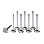 Ferrea Sbc C/6 1.500 Exhaust Valves- F6309-8 New. Price: $236.78.
