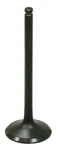 Bronco Exhaust Valve AU-09201E New. Price: $18.33.