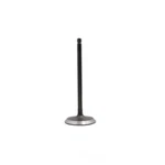 Engine Intake Valve Fits 2010-2015 Lincoln Mks,mkt Navigator Dnj Compone New. Price: $18.28.