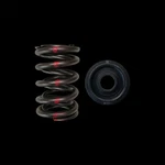 Brian Crower BC0030S Spring/steel Retainer Kit For Honda H22 New. Price: $339.00.