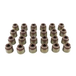 Dnj VSS644 Valve Stem Oil Seal Set Fits 2005-2022 Nissan Frontier New. Price: $42.99.