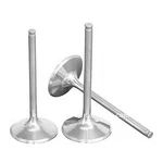 Enginetech Intake Valves Ford 7.3L Powerstroke Diesel Set Of 8 New. Price: $124.79.