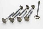 Manley Performance Ford Coyote 5.0L Dohc Race Master Intake Valves - Set Of New. Price: $237.95.