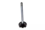 Genuine Gm Engine Exhaust Valve 12607211 New. Price: $45.64.
