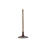 Engine Intake Valve-dohc, Code: 3UR-FE, 32 Valves Dnj IV968 New. Price: $16.27.