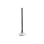 Engine Exhaust Valve-dohc, Code: FA20, 16 Valves Dnj EV4346A New. Price: $15.64.