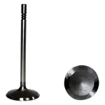 Ford F-150 1997-2003 Dnj Engine Components IV4147 Intake Valve New. Price: $10.46.