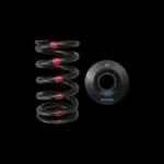 Brian Crower For Nissan SR20DE/DET Single Spring & Steel Retainer Kit BC0200S New. Price: $195.00.