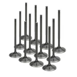 Supertech Black Nitride Intake Valves Fits Toyota 1JZ Gte / Ge Tivn 1008-12 New. Price: $272.19.