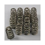 Comp Valve Springs Single 1.415" Outside Dia 292 Lbs/in Rate 1.040" Coil Bind New. Price: $270.95.