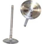 IV729 Dnj Intake Valve For Subaru Outback Legacy Tribeca 2008-2014 New. Price: $27.14.