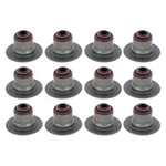 For Dodge Ram 1500 2002-2010 Apex Auto AVS2074 Valve Stem Seal Set New. Price: $18.18.