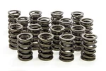 Isky 1.550IN Valve Springs New. Price: $387.45.