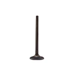 Dnj EV1163 Exhaust Valve Fits 2011-2022 Ram 1500 11-18 2500 New. Price: $32.99.