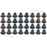 Apex Engine Valve Stem Oil Seal Set Ford F-150, Mustang AVS13020 New. Price: $41.37.