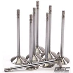 Gsc Power 2161-8 Stainless Std Size Head Exhuast Valve For 5.0L Coyote Gen 3 New. Price: $222.51.