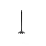 Engine Intake Valve-vin: T, Sohc, 24 Valves Dnj IV169 New. Price: $18.77.