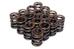 Blox Racing Dual Valve Springs For H22A (2.2L Dohc Vtec) BXPT-20300 New. Price: $260.00.
