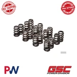 Gsc Power-division 4G63T Single Beehive Spring Set 8200 Rpm For Evo 8/9 Only New. Price: $241.48.