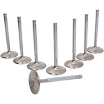 Manley 11362-8 Race Master Flo Intake Valves New. Price: $188.69.