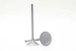 Safety Auto Parts Intake Valve-vin: B, Dohc, 16V Item #VN26-260 New. Price: $21.50.