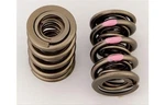 Manley Nextek Valve Spring 221447-1 New. Price: $40.47.