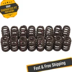 Edelbrock 5823 Sure Seat Valve Springs For Cylinder Heads New. Price: $175.97.
