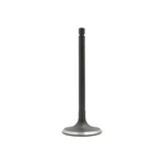 Dnj IV606 Intake Valve Fits 1984-1988 Nissan 200SX 84-89 Stanza New. Price: $30.99.