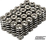 Gsc Power Division 5091 Beehive Valve Spring & Ti Retainer Kit For 20-23 Toyota New. Price: $595.00.