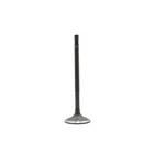 Dnj IV4287 Intake Valve Fits 2012-2015 Mercedes-benz C250 New. Price: $37.99.