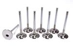 (8-PACK) Ferrea F1046P-8 Compplus Intake Valve 2.080" Head 11/32" Stem 5.010" New. Price: $444.96.