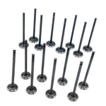 New Intake Exhaust Valve Kit For 2001-2012 Hyundai Elantra Kia Soul 2.0L. Price: $24.89.