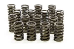 Isky Cams 205D Valve Springs New. Price: $204.35.