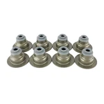 Dnj VSS330 Valve Stem Oil Seal Set Fits 1998-2003 Chevrolet S10 98-03 Gmc Sonoma New. Price: $34.99.