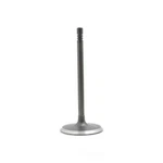 Engine Intake Valve-vin: P, Sohc, 16 Valves Dnj IV1102 New. Price: $16.76.