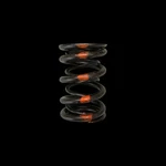 Brian Crower BC1020 Dual Valve Springs For 1994-2001 Honda/acura B18A/B18B/B20B New. Price: $274.00.