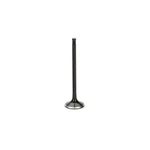 Supertech Intake Valve For Volkswagen VR6 2.8L Black Nitrided Set Of New. Price: $220.86.