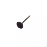 Genuine Volkswagen Intake Valve 06E-109-601-Q New. Price: $29.78.